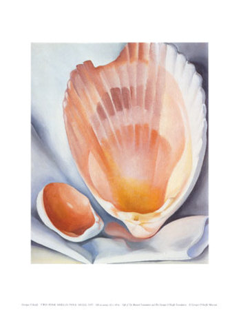 Two Pink Shells Georgia O'Keeffe